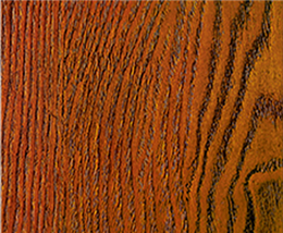 Mw-47 golden elm